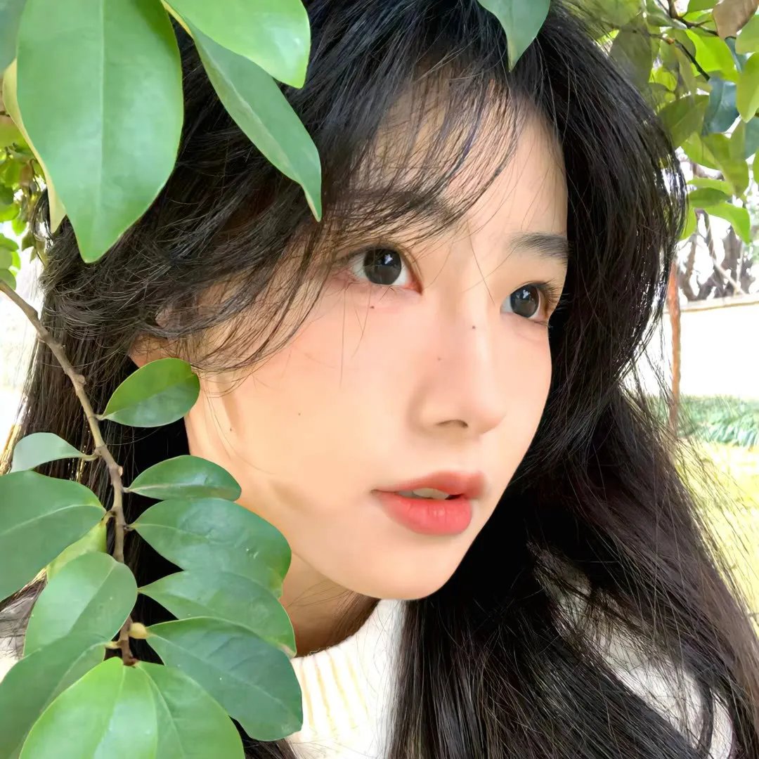 下山前我就无敌了